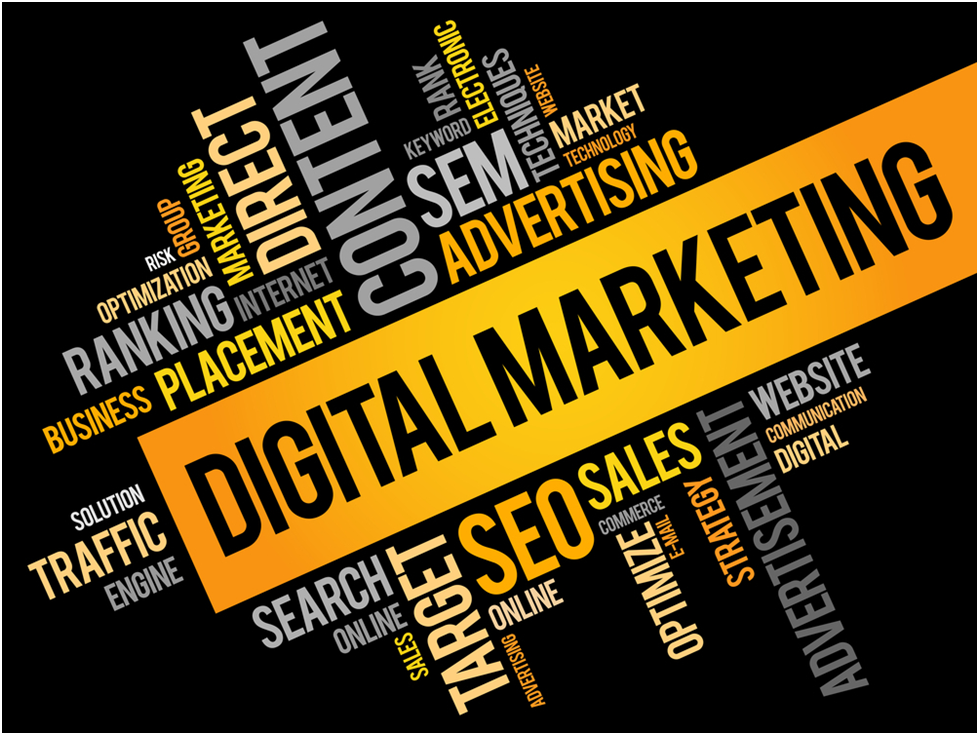 The world of digital marketing offers much to explore